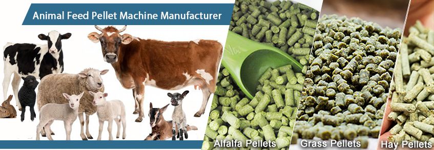 Hay Animal Feed Pellets (Equipment & Benefits)