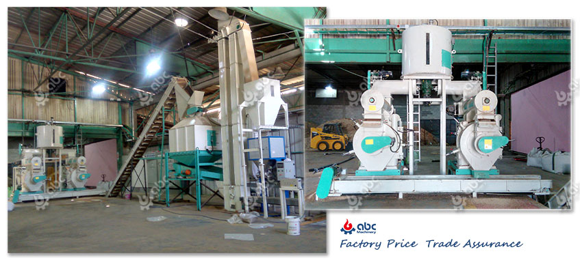 China Biomass wood pellet mill Sawdust pressed pellet mill factory and  manufacturers