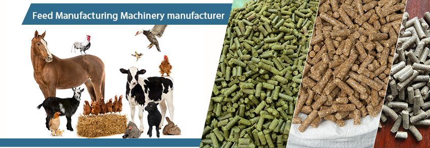 https://www.bioenergy-machine.com/uploads/allimg/animal-feed-pellet-machine-business.jpg