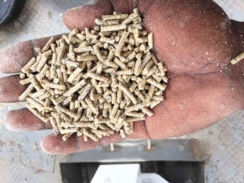 Final Chicken Feed Pellets Product