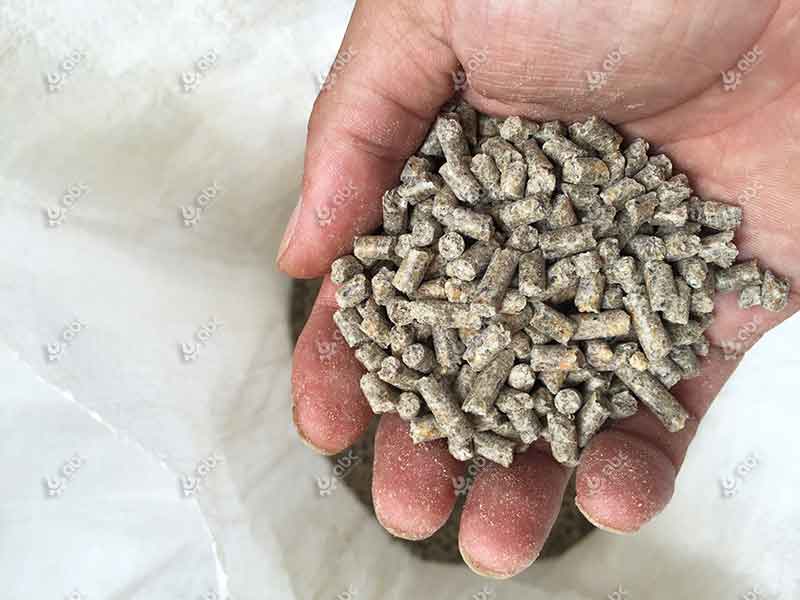 High-quality Formed Chicken Feed Pellets