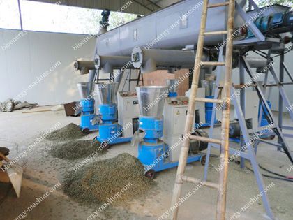 Small Complete Wood Pellet Manufacturing Line For Sale