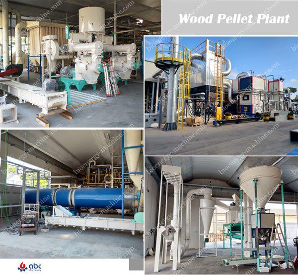 Wood Pellet Mill Manufacturer- Customized Design Wood Pellet Plant.